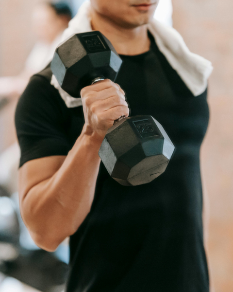 bodybuilding basics home1